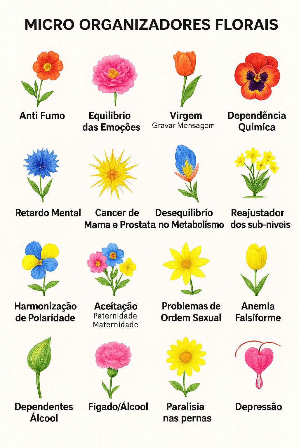 Micro-Organizador-Floral