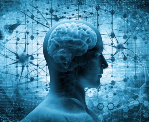 CORPO MENTE E SÁUDE