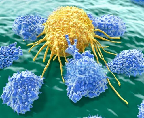 A PROBLEMÁTICA DO CÂNCER