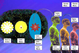 OVOIDE-A-SEGUNDA-MORTE