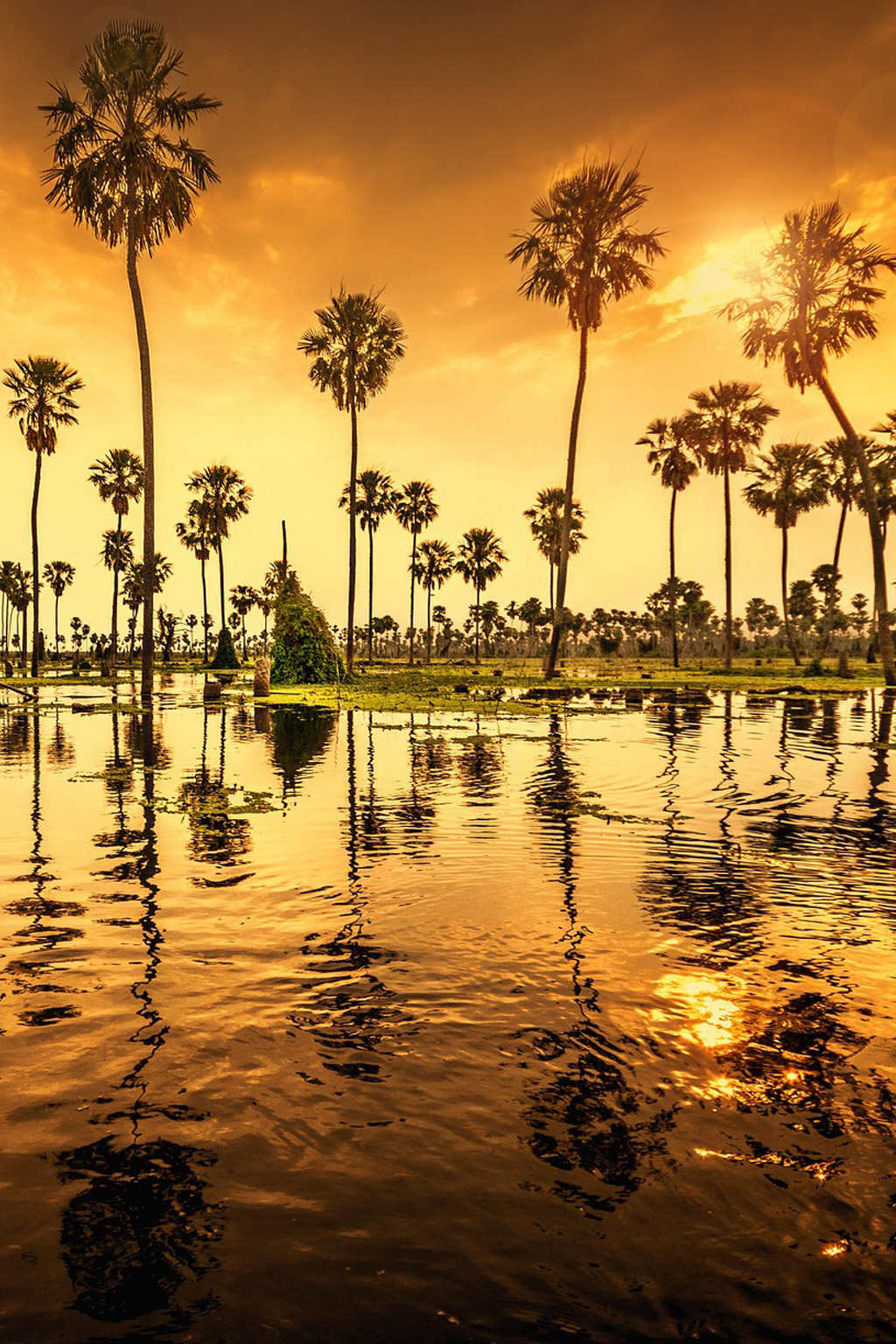 Do Macrocosmos ao Microcosmos