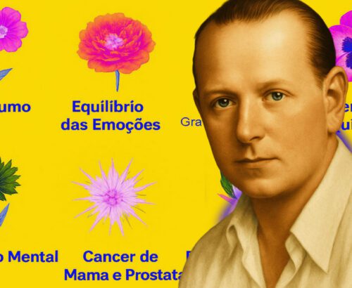 MICRO ORGANIZADOR FLORAL – Mof’s