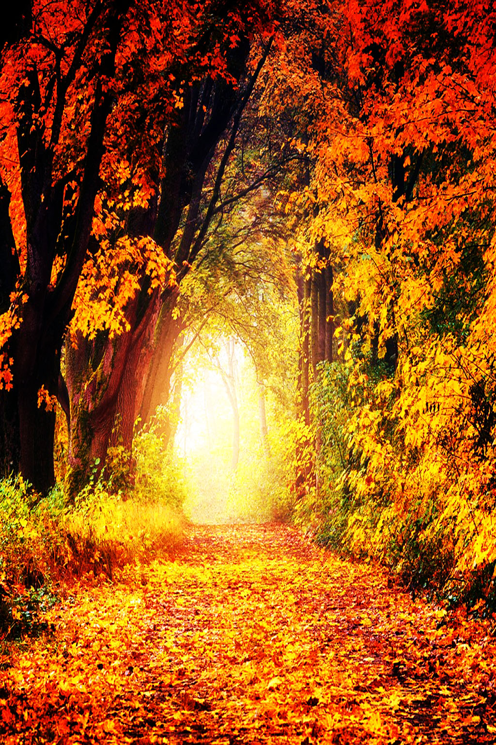 O Passe Espírita Demonstra seus Benefícios