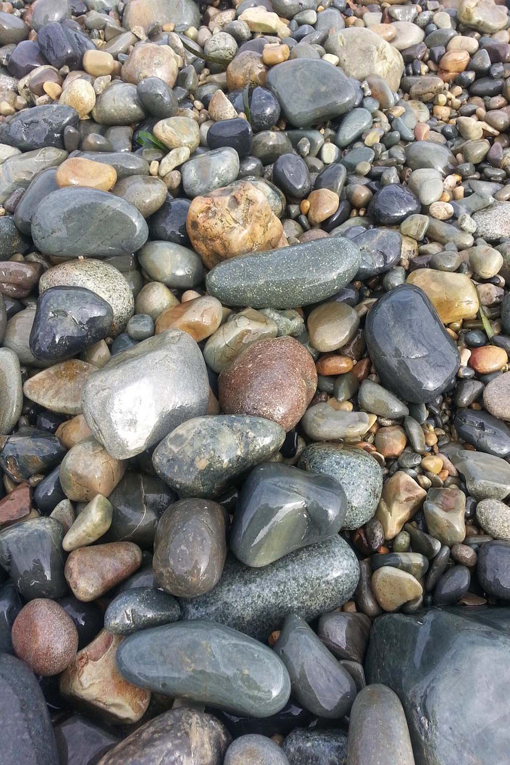 Instrumento de Purificacao