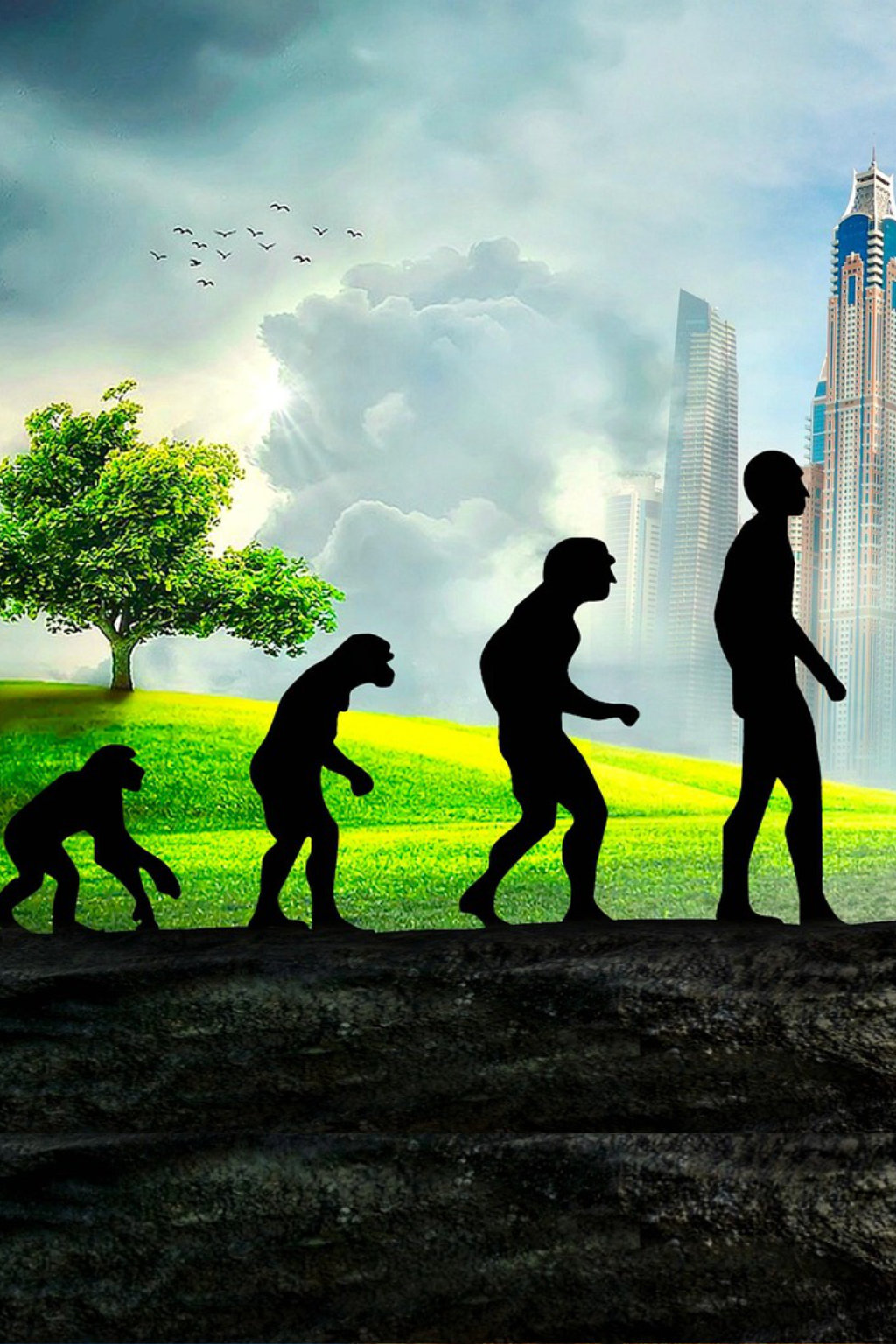 Evolucao-e-Progresso-O-Papel-da-Reencarnacao