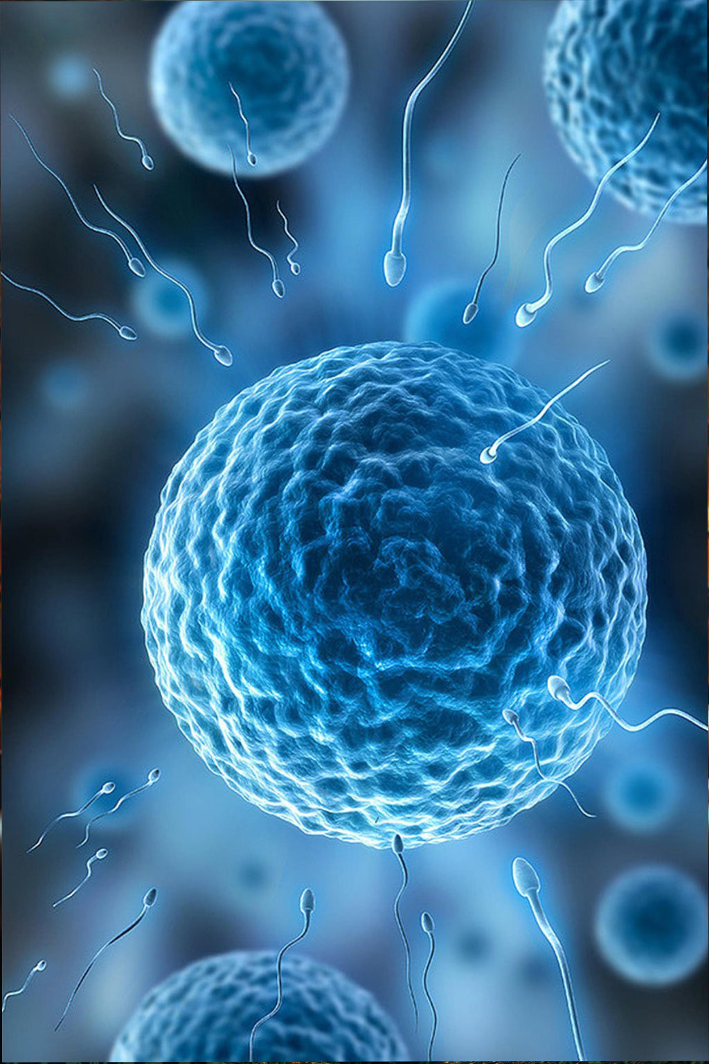 aspecto-fundamentais-da-reproducao