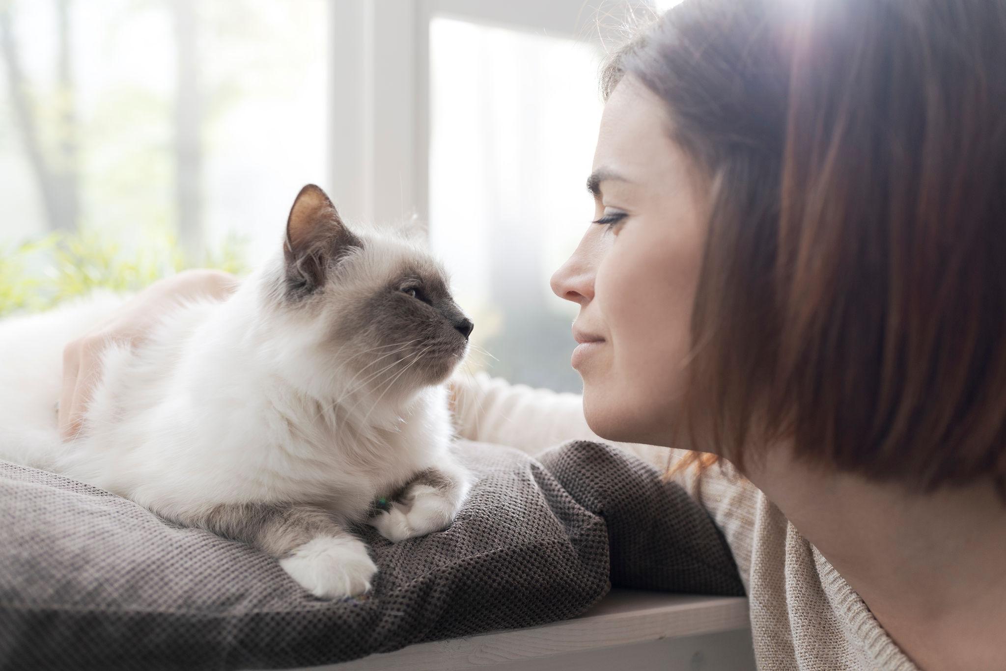 a-espiritualidade-dos-animais